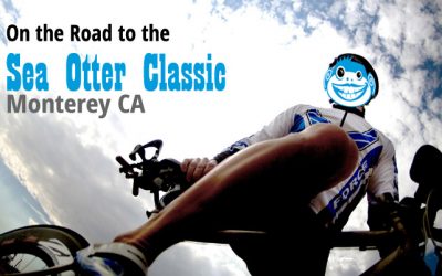 On the Road: Sea Otter Bound!