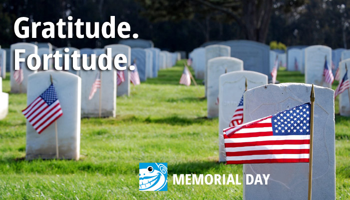 Embrace Gratitude and Fortitude this Memorial Day