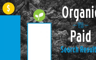 Organic vs. Paid Search Results: Where’s the Sweet Spot for My Brand?