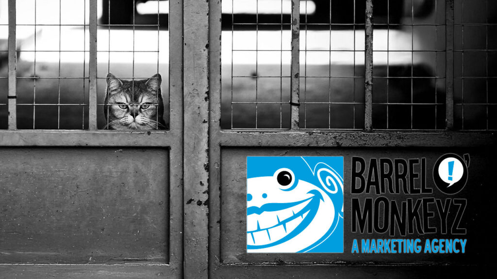 Marketing Stuck in a Rut? How You Can Break Free from the Status Quo