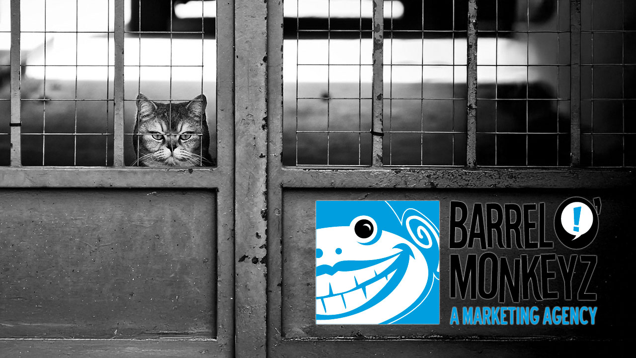 Marketing Stuck in a Rut? How You Can Break Free from the Status Quo