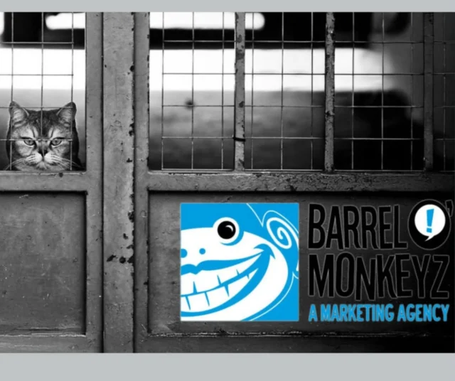 It's time to explore how you can break free from the status quo to revitalize efforts👇https://barrelomonkeyz.com/marketing-stuck-in-a-rut-how-you-can-break-free-from-the-status-quo/

.

.

#BarrelOMonkeyz #marketing #digitalmarketing #business #marketingdigital #digitalmarketing #branding #socialmedia #entrepreneur #socialmediamarketing #advertisingsmallbusiness #marketingstrategy #seo #digital#entrepreneurship #instagood #onlinemarketing #marketingtips #startup