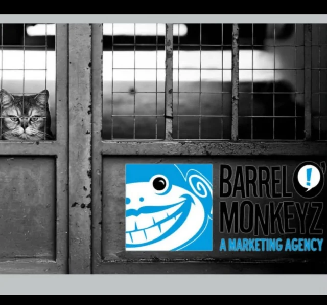 It's time to explore how you can break free from the status quo to revitalize efforts👇https://barrelomonkeyz.com/marketing-stuck-in-a-rut-how-you-can-break-free-from-the-status-quo/

#BarrelOMonkeyz #marketing #digitalmarketing #business